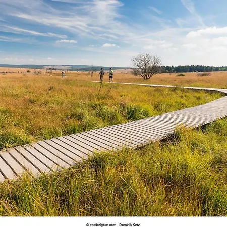 # A Mont Nos'hotes Malmedy